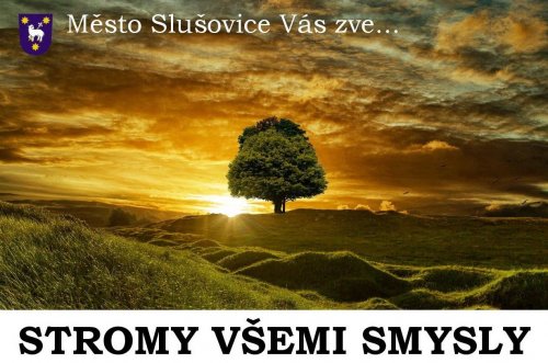 Pozvánka na besedu – Stromy všemi smysly